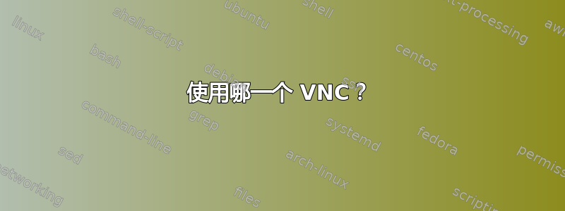 使用哪一个 VNC？