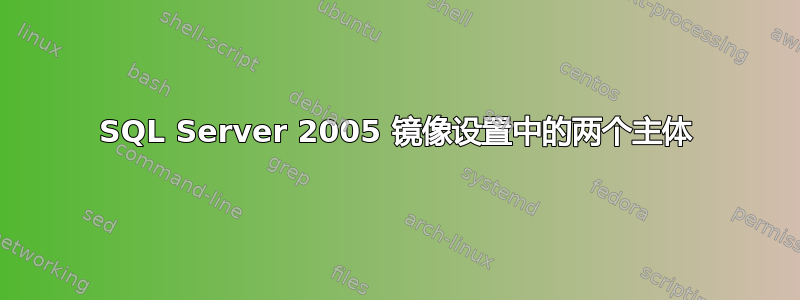 SQL Server 2005 镜像设置中的两个主体