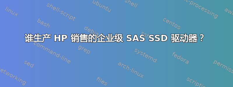 谁生产 HP 销售的企业级 SAS SSD 驱动器？