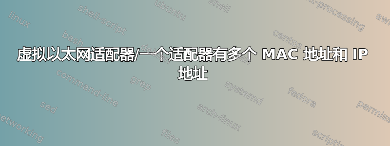 虚拟以太网适配器/一个适配器有多个 MAC 地址和 IP 地址