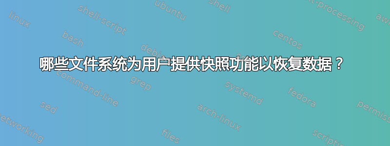 哪些文件系统为用户提供快照功能以恢复数据？