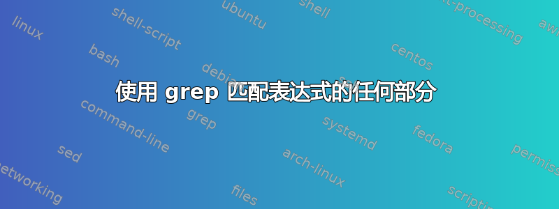 使用 grep 匹配表达式的任何部分