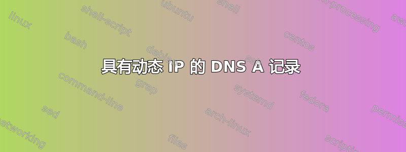 具有动态 IP 的 DNS A 记录