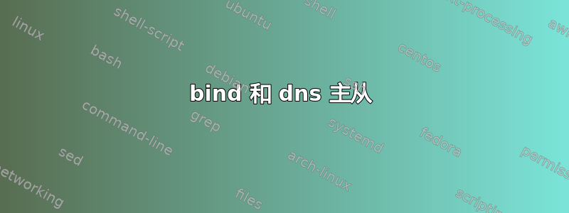 bind 和 dns 主从