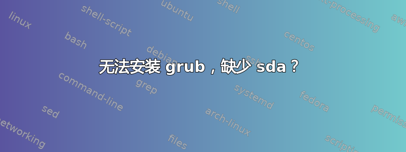 无法安装 grub，缺少 sda？