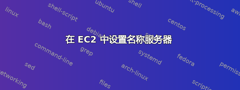 在 EC2 中设置名称服务器