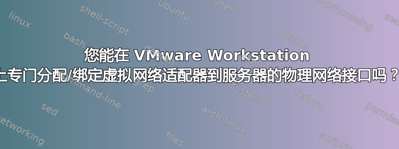 您能在 VMware Workstation 上专门分配/绑定虚拟网络适配器到服务器的物理网络接口吗？