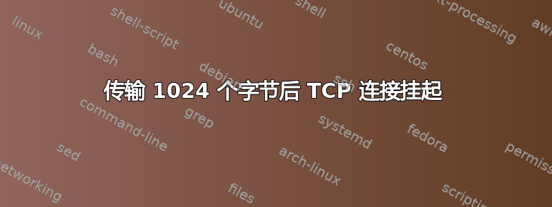 传输 1024 个字节后 TCP 连接挂起