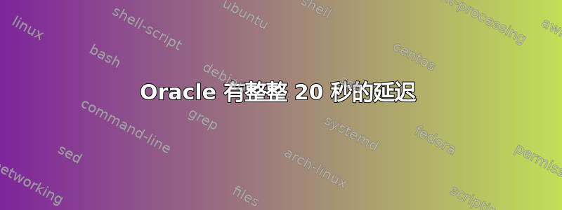 Oracle 有整整 20 秒的延迟