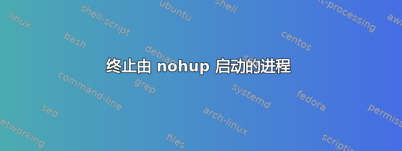 终止由 nohup 启动的进程