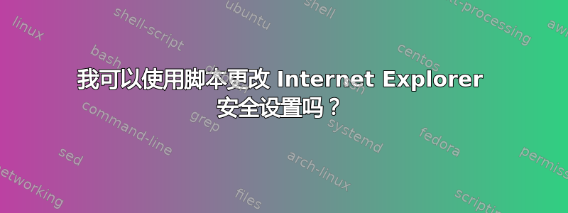 我可以使用脚本更改 Internet Explorer 安全设置吗？