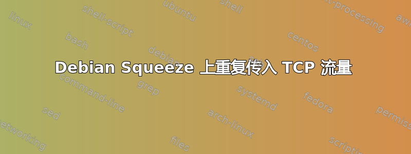 Debian Squeeze 上重复传入 TCP 流量