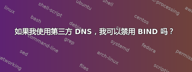 如果我使用第三方 DNS，我可以禁用 BIND 吗？