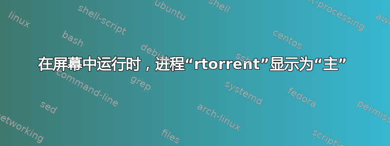 在屏幕中运行时，进程“rtorrent”显示为“主”