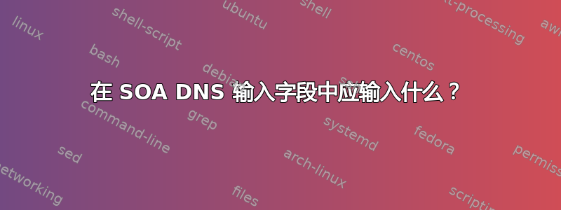 在 SOA DNS 输入字段中应输入什么？