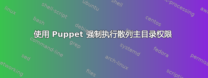 使用 Puppet 强制执行散列主目录权限