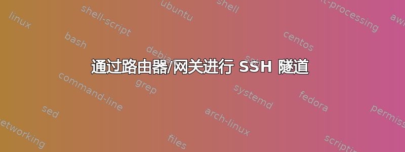 通过路由器/网关进行 SSH 隧道