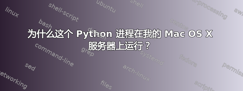 为什么这个 Python 进程在我的 Mac OS X 服务器上运行？