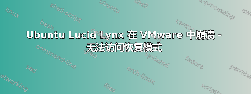 Ubuntu Lucid Lynx 在 VMware 中崩溃 - 无法访问恢复模式