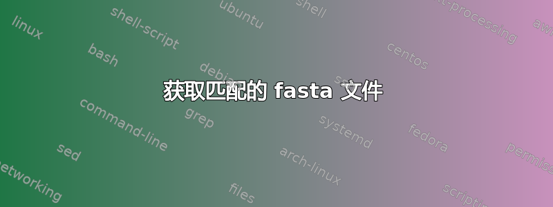 获取匹配的 fasta 文件