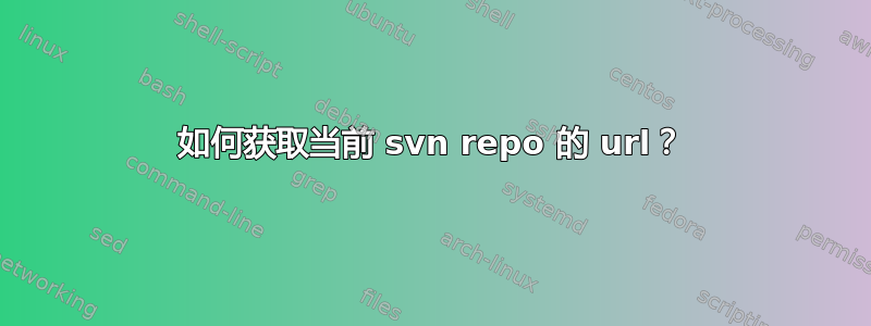 如何获取当前 svn repo 的 url？