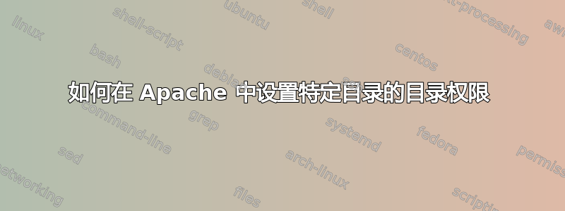 如何在 Apache 中设置特定目录的目录权限