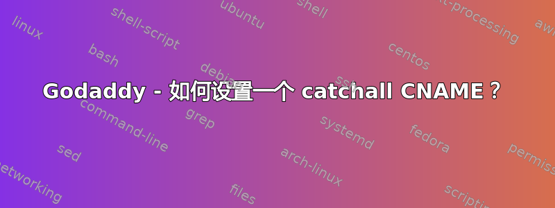 Godaddy - 如何设置一个 catchall CNAME？