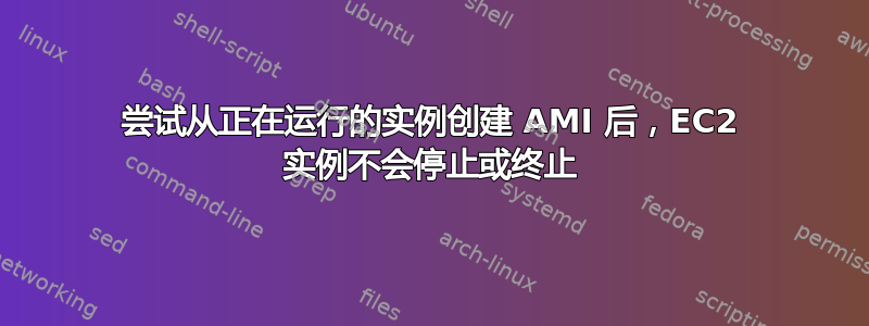 尝试从正在运行的实例创建 AMI 后，EC2 实例不会停止或终止