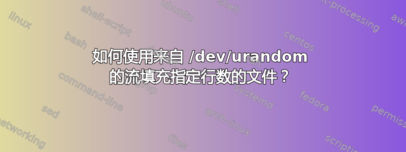 如何使用来自 /dev/urandom 的流填充指定行数的文件？