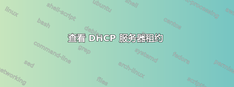 查看 DHCP 服务器租约