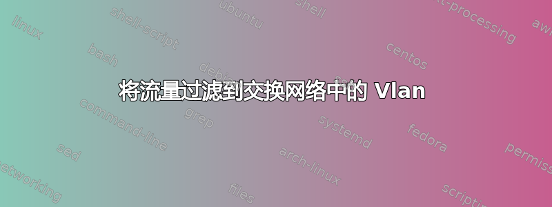 将流量过滤到交换网络中的 Vlan