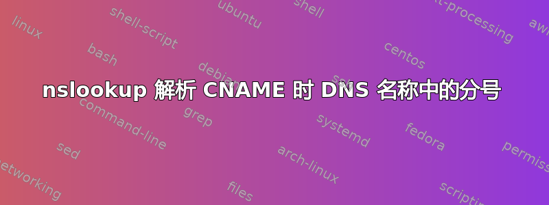 nslookup 解析 CNAME 时 DNS 名称中的分号