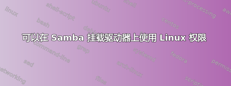 可以在 Samba 挂载驱动器上使用 Linux 权限