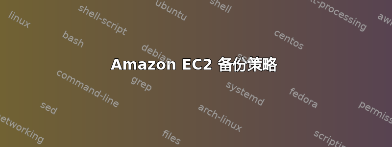 Amazon EC2 备份策略