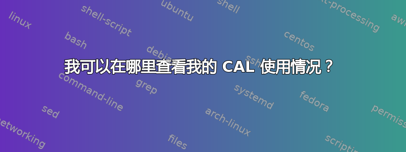 我可以在哪里查看我的 CAL 使用情况？