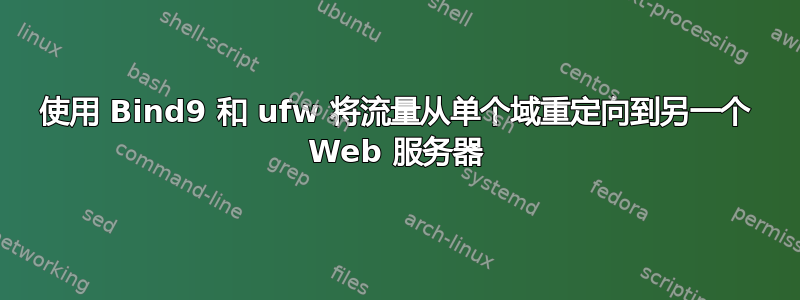 使用 Bind9 和 ufw 将流量从单个域重定向到另一个 Web 服务器