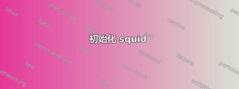 初始化 squid