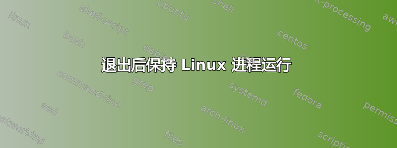 退出后保持 Linux 进程运行