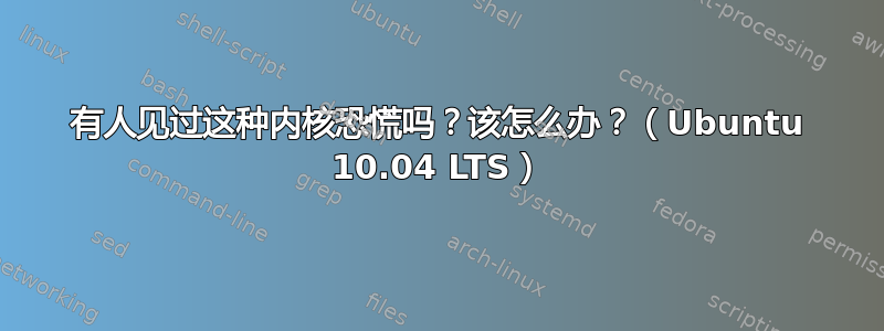 有人见过这种内核恐慌吗？该怎么办？（Ubuntu 10.04 LTS）