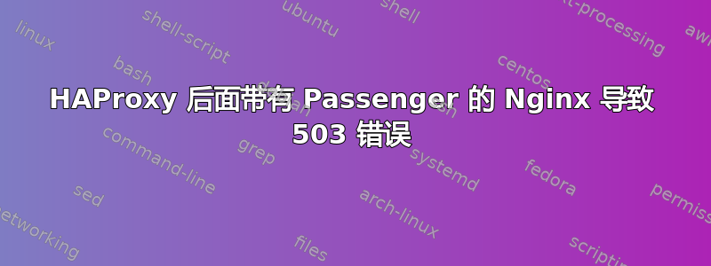 HAProxy 后面带有 Passenger 的 Nginx 导致 503 错误