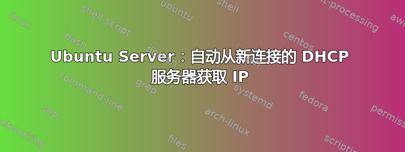 Ubuntu Server：自动从新连接的 DHCP 服务器获取 IP