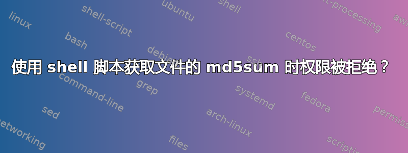 使用 shell 脚本获取文件的 md5sum 时权限被拒绝？