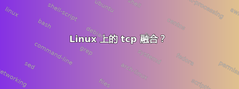 Linux 上的 tcp 融合？