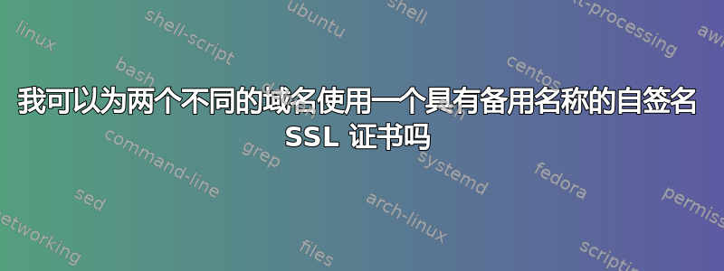 我可以为两个不同的域名使用一个具有备用名称的自签名 SSL 证书吗