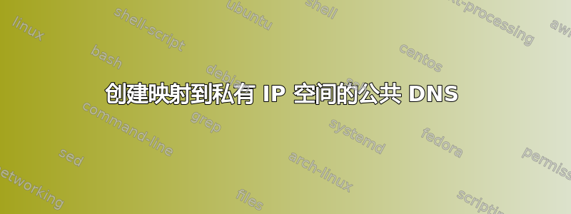 创建映射到私有 IP 空间的公共 DNS