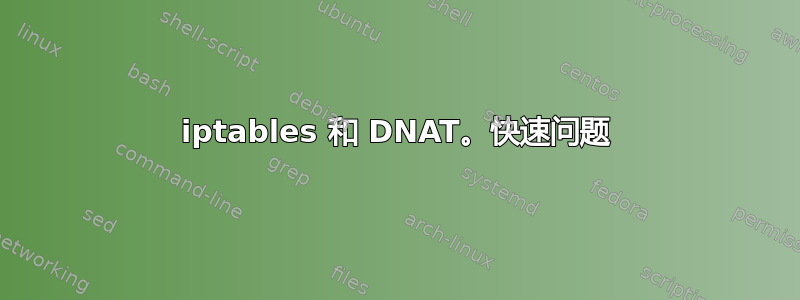 iptables 和 DNAT。快速问题