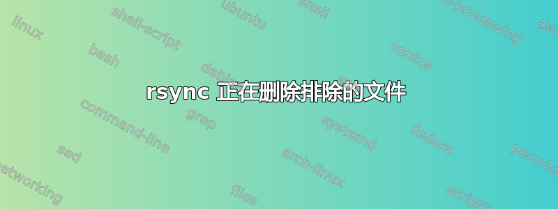 rsync 正在删除排除的文件