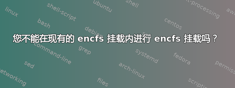 您不能在现有的 encfs 挂载内进行 encfs 挂载吗？