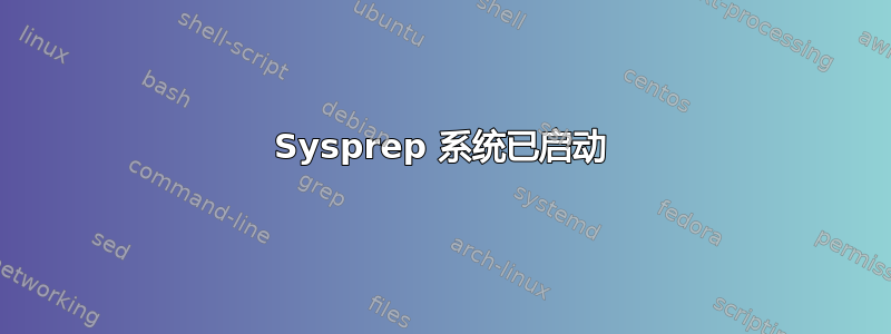 Sysprep 系统已启动