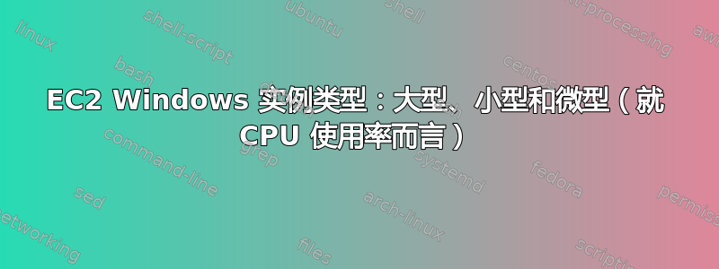 EC2 Windows 实例类型：大型、小型和微型（就 CPU 使用率而言）